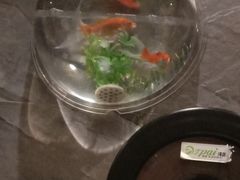 -香佰里鲜货火锅(佳乐金街店)