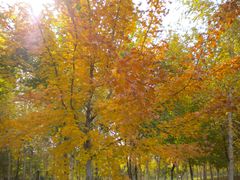 -长春世界雕塑园冰雪艺术天地