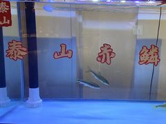 -鲁菜根·泰安菜(万达店)