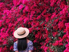 -厦门国家会计学院