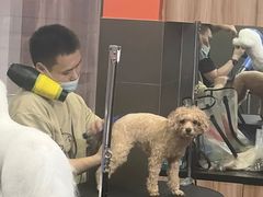 -宠宠熊宠物美容(星湖街店)