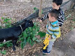 -新塘水果乐园(东洲大道店)