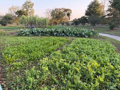 -上海浦江郊野公园-5号停车场