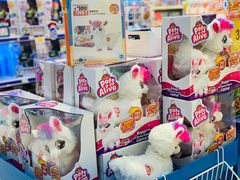 -TOYSRUS玩具反斗城(苏州中心店)