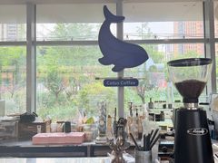 -Cetus coffee鲸鱼座咖啡·拼豆(二仙桥公园店)