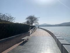 -水上明月·湖景餐厅