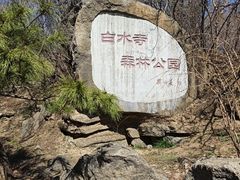 -白水寺森林公园