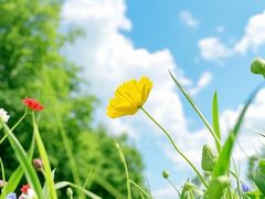 -洪湖生态旅游区