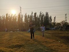 -甜心庄园·甜心草莓采摘园(西青中北店)