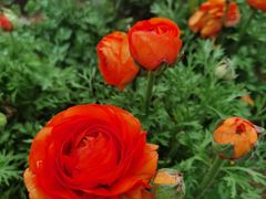 -漩门湾国家湿地公园