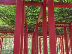 -西安市长乐公园