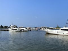 -日照世帆赛基地