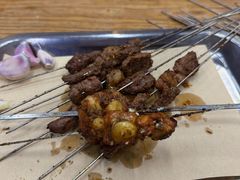 -清真·马峰烤肉(小学习北巷店)