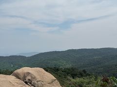 -鲁山国家森林公园