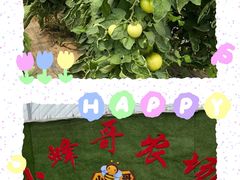 -庞各庄翠芳园西瓜蔬菜基地采摘园