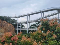 -仙岳公园