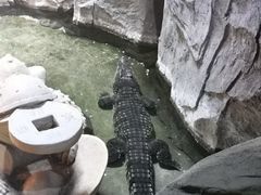 -泉城欧乐堡海洋极地世界