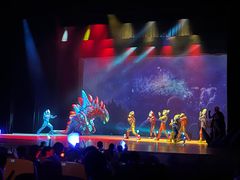 -厦门歌舞剧院