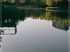 -大望京公园
