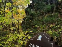 -汤旺河林海奇石景区