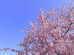 -上海辰山植物园