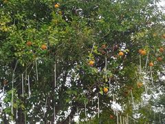 -南昌之星游乐场