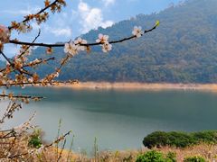 -广州市流溪河国家森林公园