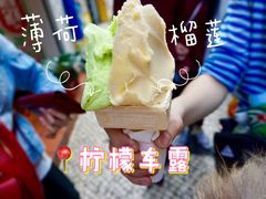 -柠檬车露(卖草地店)