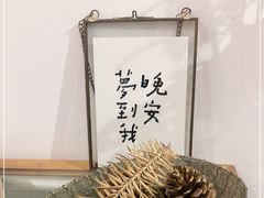 -猫里有甜