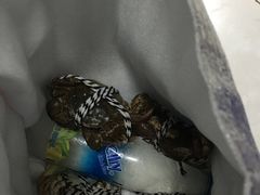 -喜洋洋蟹庄(阳澄湖店)