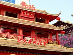 -越秀西湖花市(广州城市广场花卉店)