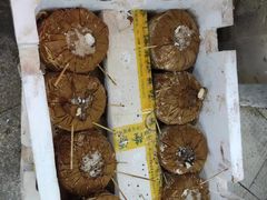 -东门町美食街