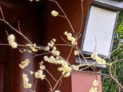 -钱王祠