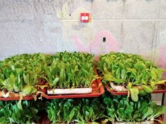 -宣威山野人家·云南菜·菌火锅(金碧店)