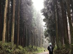 -山王坪喀斯特国家生态公园