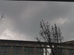 -广顺鑫猪肚鸡(经八路店)