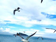 -海驴岛(荣成市)