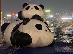 -星光大道