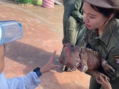 -世界恐龙谷景区