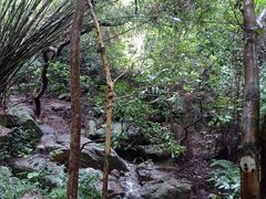 -火炉山森林公园