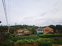 -许家山