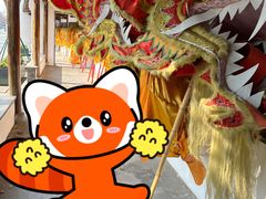 -三林塘老街