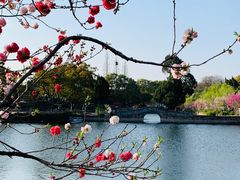 -无锡蠡湖国家湿地公园-蠡园