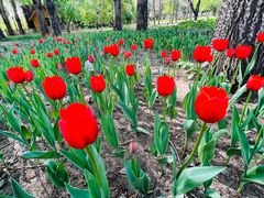 -长春公园(普阳街道)