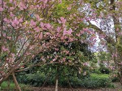 -长沙市青少年宫