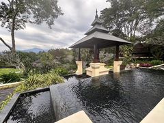 -四季酒店下午茶