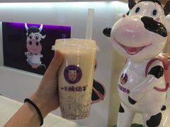 -一只酸奶牛(八一路店)