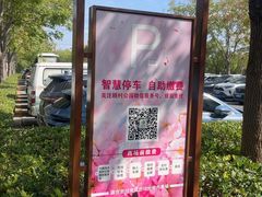 -顾村公园3号门停车场