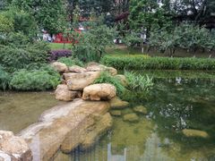 -花果园湿地公园