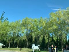 -亿利库布其七星湖沙漠生态旅游区